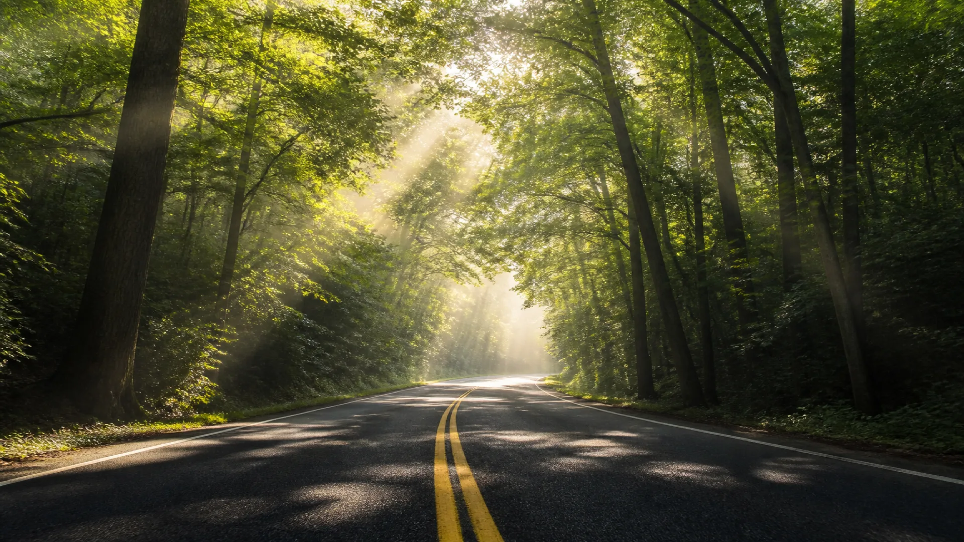 10 Simple Eco-Driving Tips to Save Fuel (or Electricity) Right Away